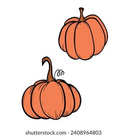 Vector hand drawn sketched pumpkin. Autumn illustration for holidays, Halloween. Various food items in doodle style.