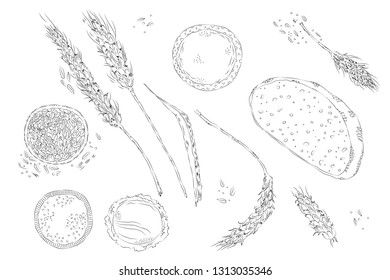 vector hand drawn sketchy illustration of monochrome set of bread and different production isolated on white. Contour only. Food, catering, textile, design element. Printed goods.