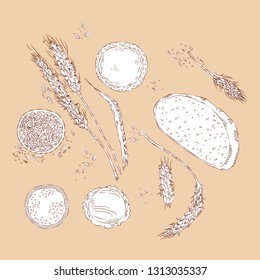 vector hand drawn sketchy set of wheat spikes, seeds and products isolated on millennial pink background. Illustration for social media, food,  catering, design, rustic themes.