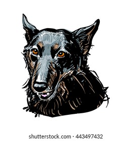 Vector hand drawn sketchy style isolated illustration of a black dog head