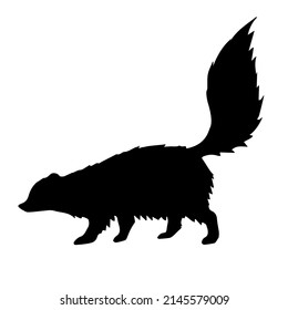 Vector hand drawn skunk silhouette isolated on white background