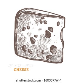 Vector hand drawn slice of cheese. Food sketch etching engraved illustration