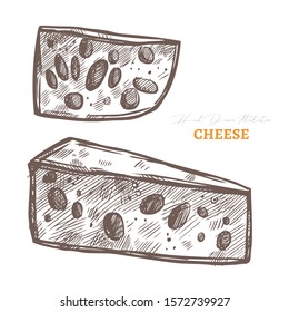 Vector hand drawn slices of cheese. Food sketch illustration