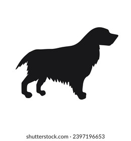 Vector hand drawn spaniel dog silhouette isolated on white background