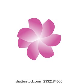  Vector hand drawn spring flower collection isolated on white background. Vector set of cute flowers with branches.