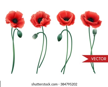 Vector hand drawn spring red poppy flowers set isolated on white