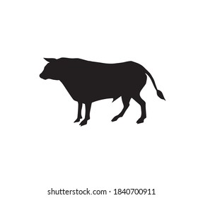 Vector hand drawn standing bull silhouette isolated on white background