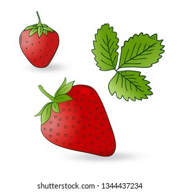Vector hand drawn strawberry fruit set. Decorative cartoon style farm product restaurant menu, market label