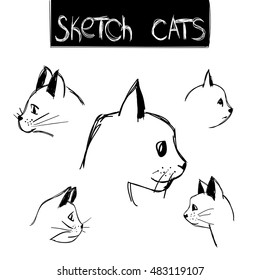 Vector hand drawn style illustration. Sketch portraits of cats