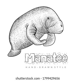 vector hand drawn style manatee. realistic animal illustrations svg