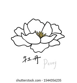 Vector Hand Drawn Peony，icon，flat style. Peony words written in Chinese characters , illustration