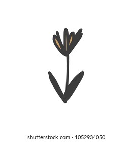 Vector hand drawn stylized abstract flower.
Postcard template.
Decor elements. Good for gift cards. Clipart. Isolated.