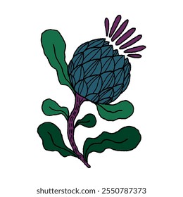 vector hand drawn stylized plant single flower burdock thistle on white background