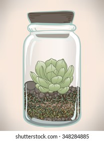 Vector  hand drawn succulent plant in glass terrarium. Hipster style illustration. Nature concept, cute interior design, t-shirt print, wallpaper, greeting card, wedding invitation