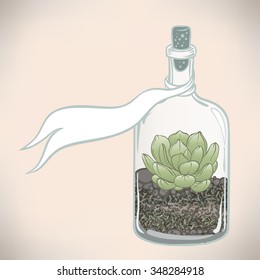 Vector  hand drawn succulent plant in glass terrarium. Hipster style illustration. Nature concept, cute interior design, t-shirt print, wallpaper, greeting card, wedding invitation