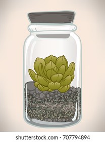 Vector hand drawn succulent plant in glass terrarium. Hipster style illustration. Nature concept, cute interior design, t-shirt print, wallpaper, greeting card, wedding invitation