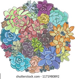 Vector hand drawn succulents pattern in a circle. Сute stylized decoration color into botanical illustration. Use for, holiday greeting card, business promotion.