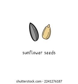 Vector hand drawn sunflower seeds isolated on white background.
