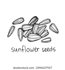 Vector hand drawn sunflower seeds for template label, packing and emblem farmer market design. Retro sketch style.