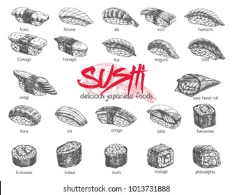 Vector hand drawn sushi set. Japanese food sketch illustration for sushi rolls bar menu, banner, flyer, card and etc.