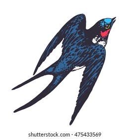 Vector Hand Drawn Swallow Bird Illustration. Flying Swift Detailed Sketch, Beautiful Animal In The Wild