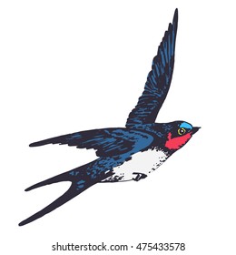 Vector Hand Drawn Swallow Bird Illustration. Flying Swift Detailed Sketch, Beautiful Animal In The Wild