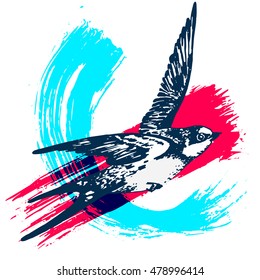Vector hand drawn swallow bird illustration with paint texture on background. Flying swift detailed sketch, beautiful animal in the wild