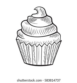 vector hand drawn sweet cupcake. Sketch. Hand drawn elements for cafe and restaurant menu design.