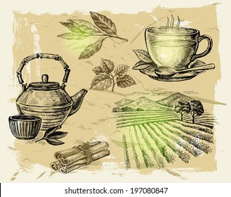 vector hand drawn tea on paint background