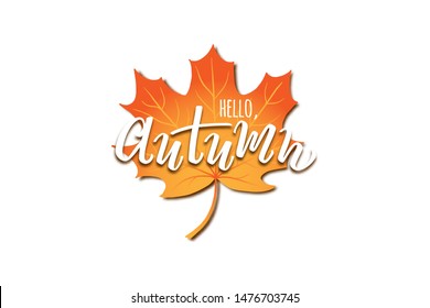 Vector hand drawn text "Hello Autumn" with 3d maple isolated on white background for seasonal promo and sales, printing, autumn holidays greeting card, invitation, Thanksgiving day design.