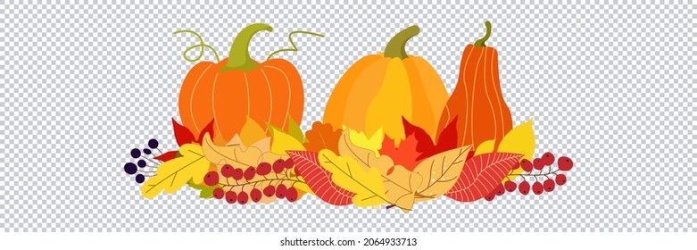Vector hand drawn Thanksgiving autumn theme transparent background cartoon set of objects and symbols