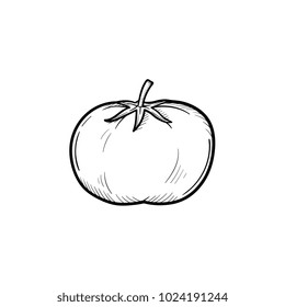 Vector hand drawn tomato outline doodle icon. Food sketch illustration for print, web, mobile and infographics isolated on white background.