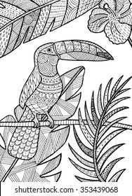 Vector hand drawn toucan bird tropical illustration for adult coloring book.