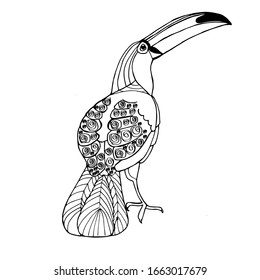 Vector hand drawn toucan. Hand drawing coloring book for children and adults. Beautiful drawings with patterns and small details. For anti-stress and children's coloring page, emblem or tattoo.