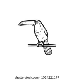 Vector hand drawn Toucan outline doodle icon. Toucan sketch illustration for print, web, mobile and infographics isolated on white background.