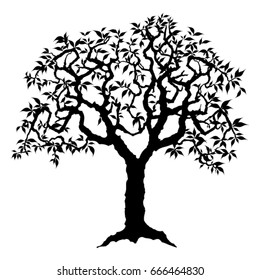 Vector hand drawn of tree.