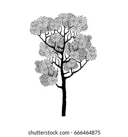 Vector Hand Drawn Of Tree.