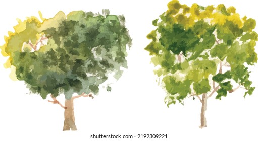 Ilustración de la acuarela del árbol dibujada a mano vectorial sobre fondo blanco.