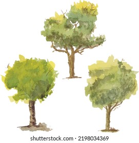 Vector hand drawn tree watercolor illustration
