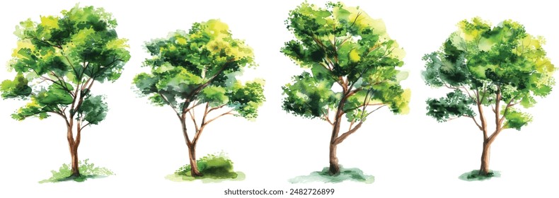 Vector hand drawn tree watercolor illustration on white background