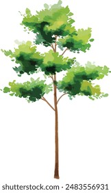 Vector hand drawn tree watercolor illustration on white background