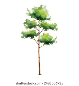 Vector hand drawn tree watercolor illustration on white background