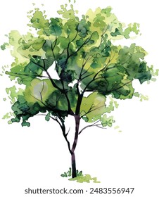 Vektorgrafik Hand gezeichnete Baum Aquarell Illustration auf weißem Hintergrund