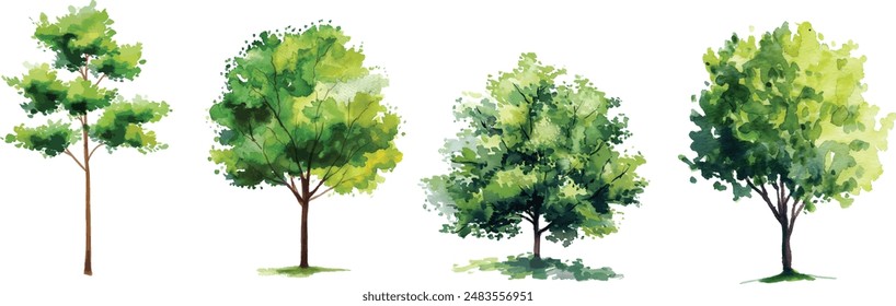 Vector hand drawn tree watercolor illustration on white background