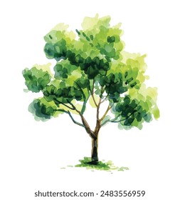 Vector dibujado a mano ilustración de acuarela de árbol sobre fondo blanco