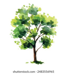 Vector hand drawn tree watercolor illustration on white background