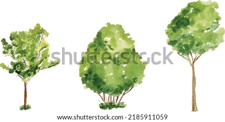 Vector hand drawn tree watercolor illustration on white background.