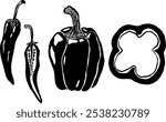 Vector hand drawn trendy illustrations of vegetables in folk style. Perfect for a grocery store branding. Food market. Collection of sweet pepper, chili pepper.