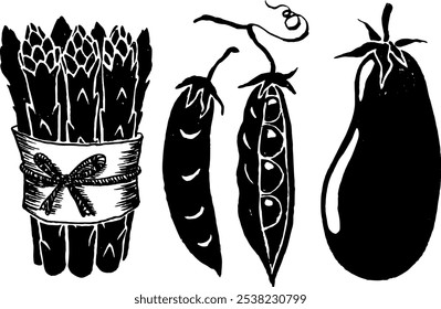 Vector hand drawn trendy illustrations of vegetables in folk style. Perfect for a grocery store branding. Food market. Collection of asparagus, pea pods, beans, eggplant.