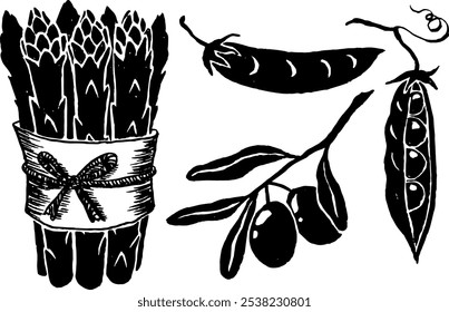 Vector hand drawn trendy illustrations of vegetables in folk style. Perfect for a grocery store branding. Food market. Collection of asparagus, olives, pea pods, beans.